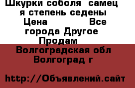 Шкурки соболя (самец) 1-я степень седены › Цена ­ 12 000 - Все города Другое » Продам   . Волгоградская обл.,Волгоград г.